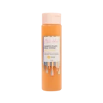 SHAMPOO DE MIEL BRILLO INTENSO 300 ml